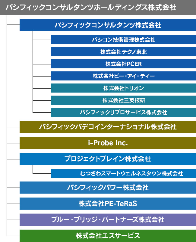 Group organizational chart after reorganization