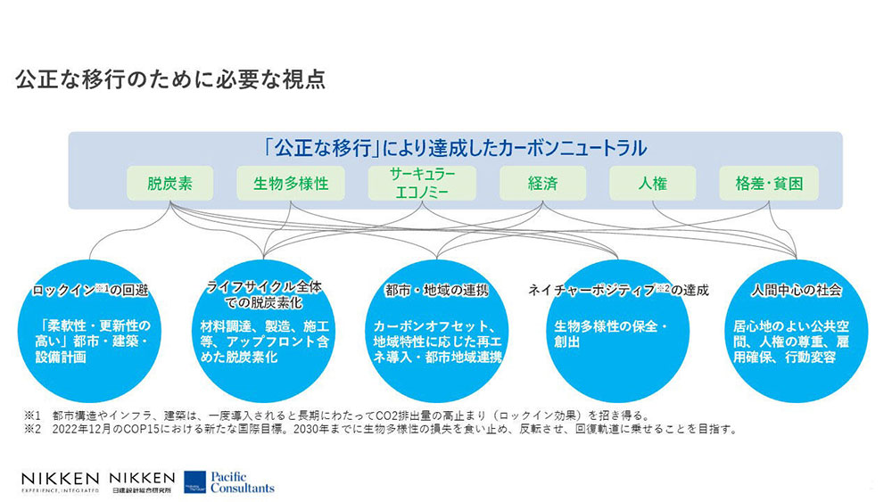 Figure: Perspectives necessary for a just transition