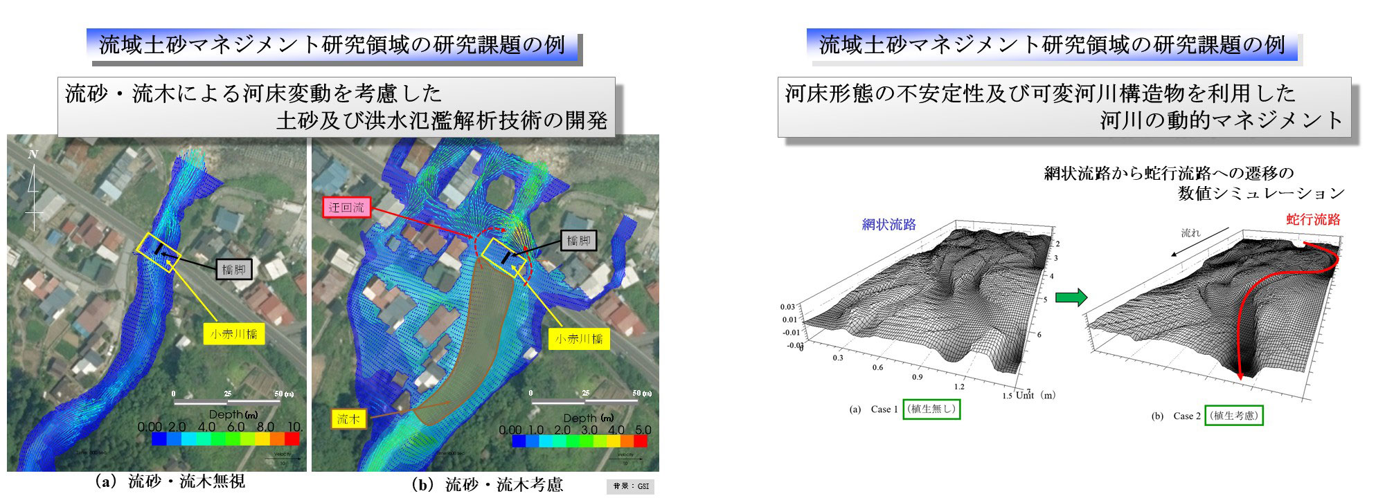 Examples of RiSM's Research Topics